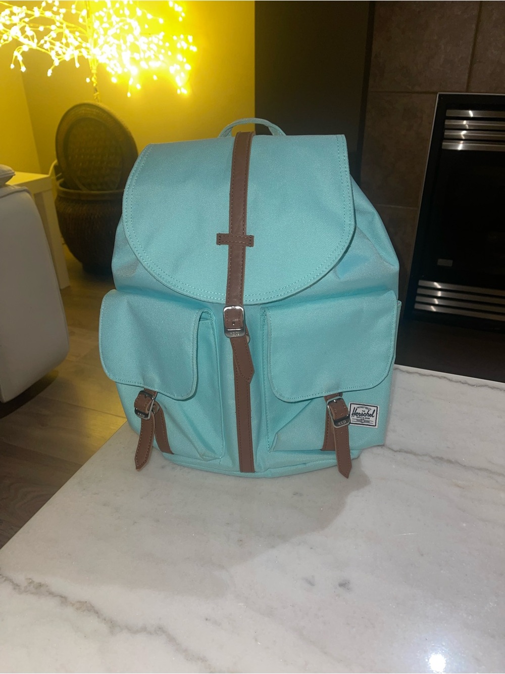 Herschel Supply Company Aqua Backpack with Brown Trim